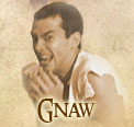 Gnaw