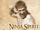 Ninja Spirit